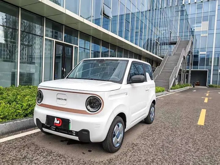 Geely Galaxy Panda Mini 2024, арт. CN-2694008 — фото 1