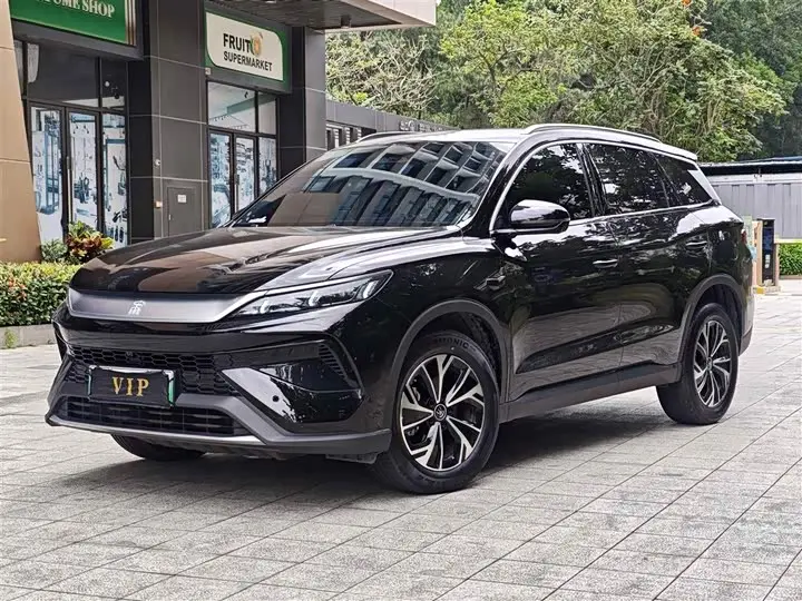 BYD Song Pro Hybrid 2025, арт. CN-2703133 — фото 1