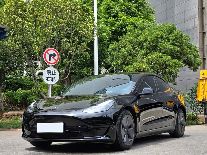 Tesla Model 3 2022, арт. CN-2754652 — фото 1