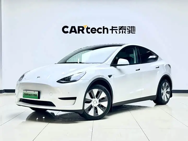 Tesla Model Y 2022, арт. CN-2758960 — фото 1