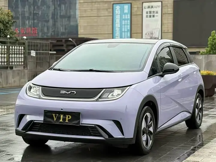 BYD Dolphin 2024, арт. CN-2799073 — фото 1