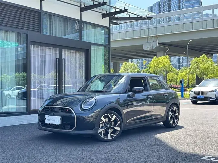 Mini Mini 2025, арт. CN-2843854 — фото 1