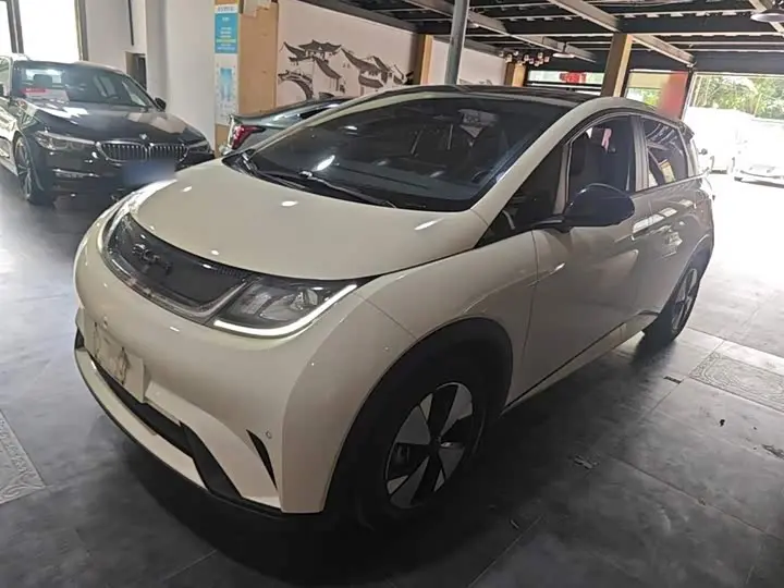 BYD Dolphin 2023, арт. CN-2846901 — фото 1