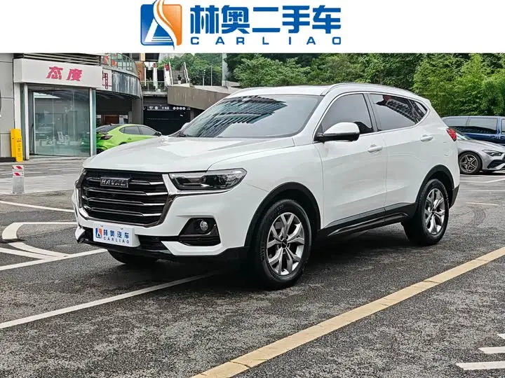Haval H6 2021, арт. CN-2869081 — фото 1