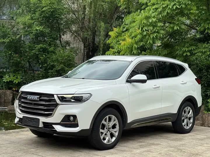 Haval H6 2021, арт. CN-2879487 — фото 1