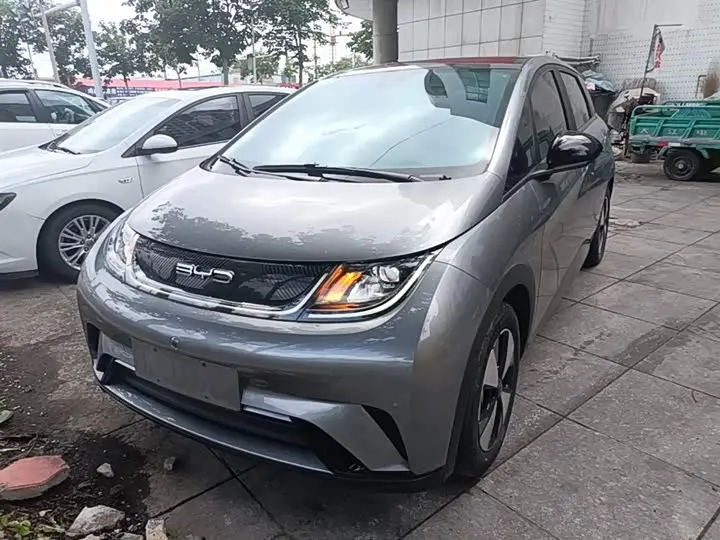 BYD Dolphin 2023, арт. CN-2899418 — фото 1