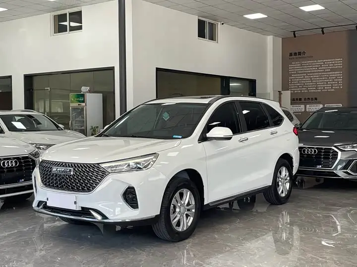 Haval M6 2021, арт. CN-2936742 — фото 1
