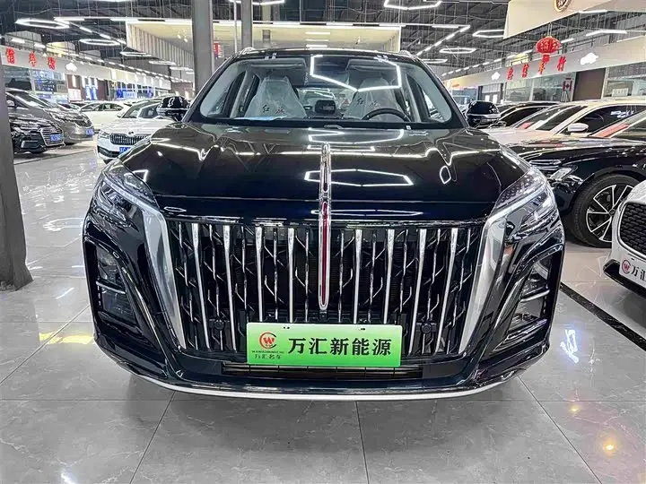 Hongqi HS3 Hybrid 2024, арт. CN-2971966 — фото 1