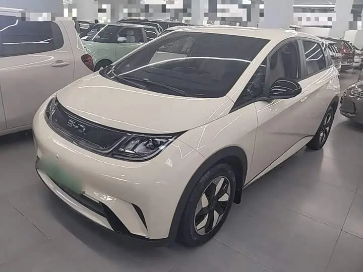 BYD Dolphin 2025, арт. CN-2978663 — фото 1