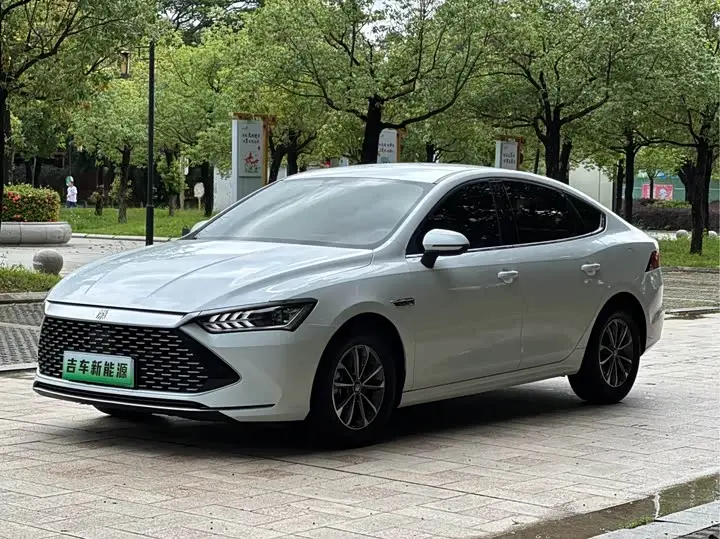 BYD Qin Plus 2024, арт. CN-2984708 — фото 1