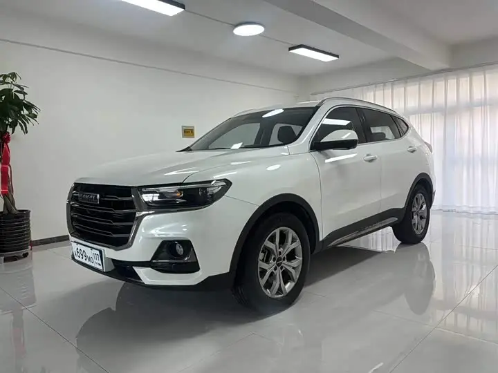 Haval H6 2021, арт. CN-2990568 — фото 1