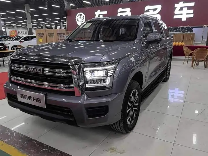 Haval H5 2023, арт. CN-2996725 — фото 1