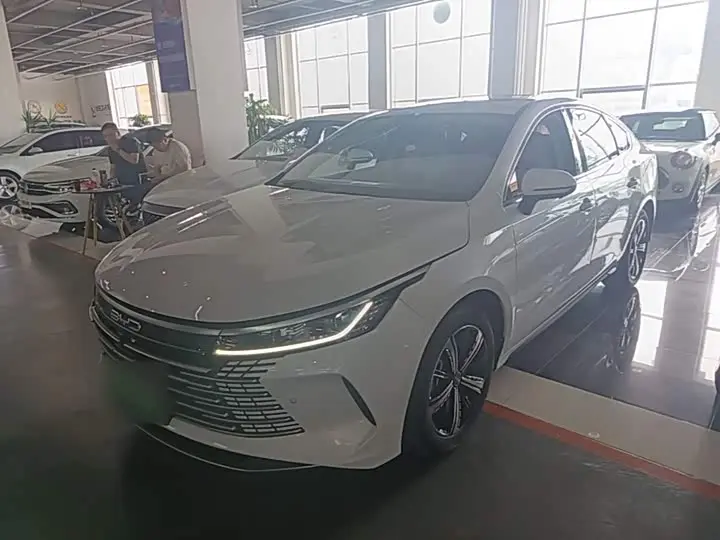 BYD Destroyer 05 2022, арт. CN-3007938 — фото 1