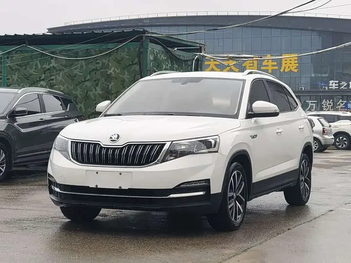 Skoda Kamiq 2022, арт. CN-3010191 — фото 1
