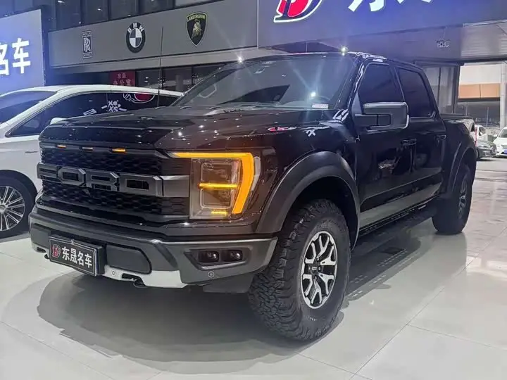 Ford F-150 Raptor 2023, арт. CN-3015208 — фото 1