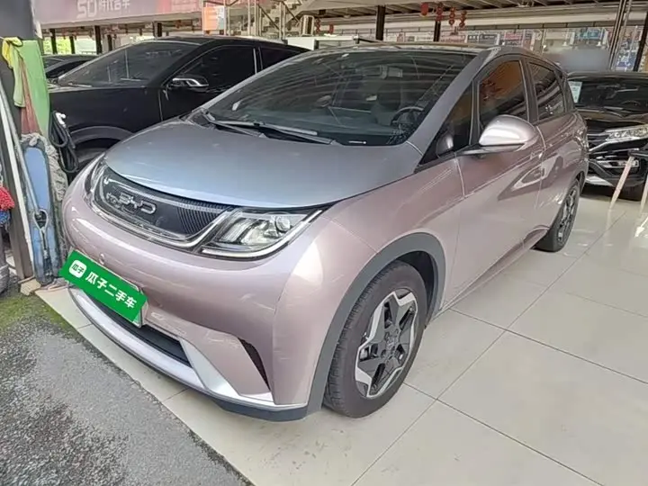 BYD Dolphin 2021, арт. CN-3022666 — фото 1