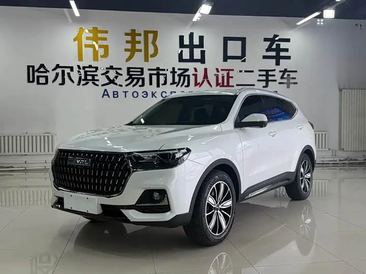 Haval H6 2023, арт. CN-3034377 — фото 1