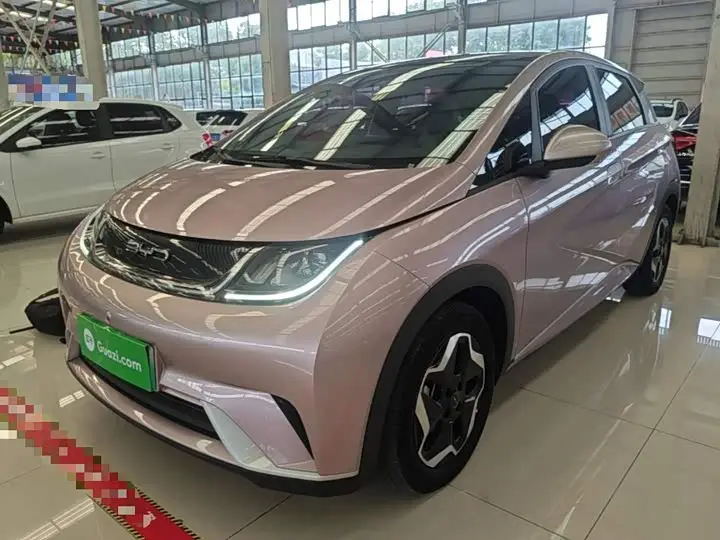BYD Dolphin 2021, арт. CN-3034588 — фото 1