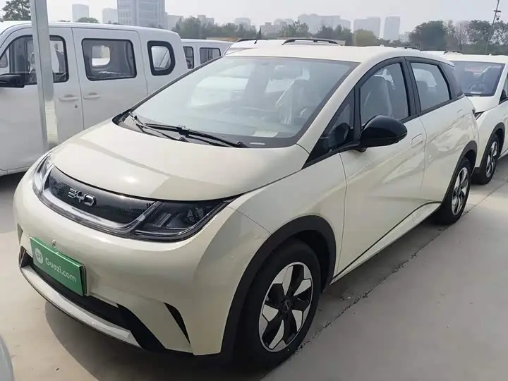 BYD Dolphin 2025, арт. CN-3048341 — фото 1