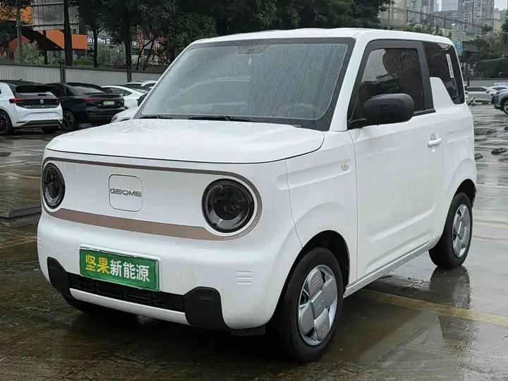 Geely Galaxy Panda Mini 2024, арт. CN-3057501 — фото 1
