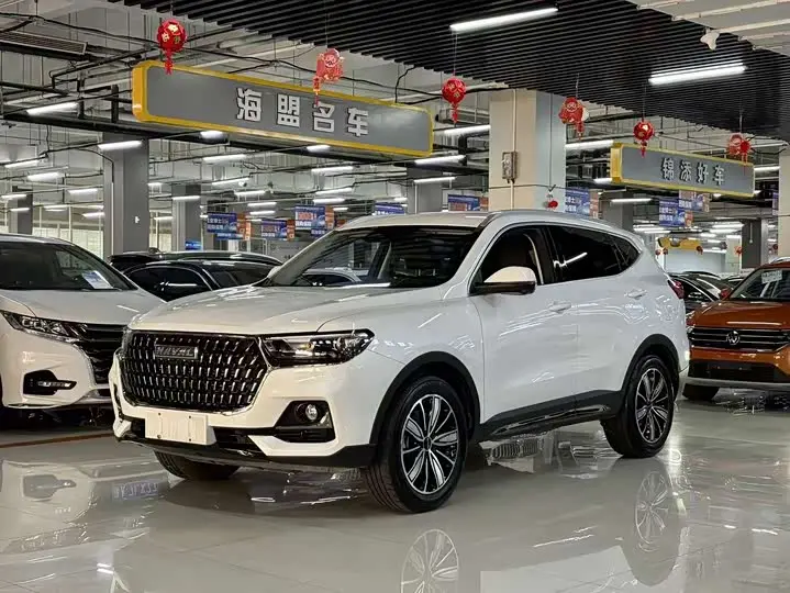 Haval H6 2023, арт. CN-3060809 — фото 1