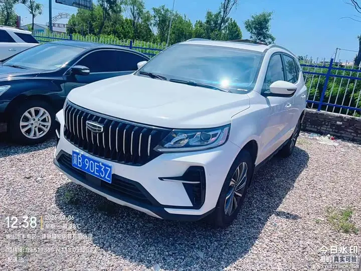 Geely Vision X6 2021, арт. CN-3072102 — фото 1