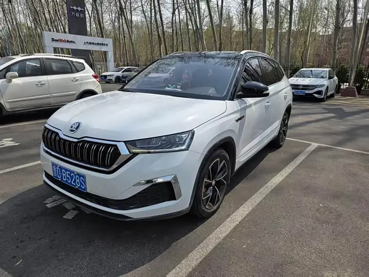 Skoda Kamiq 2023, арт. CN-3083245 — фото 1