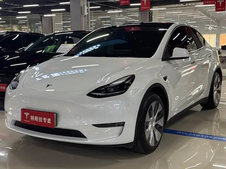 Tesla Model Y 2022, арт. CN-3085310 — фото 1