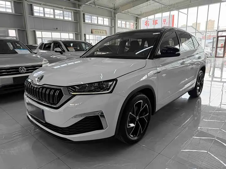 Skoda Kamiq 2022, арт. CN-3094085 — фото 1