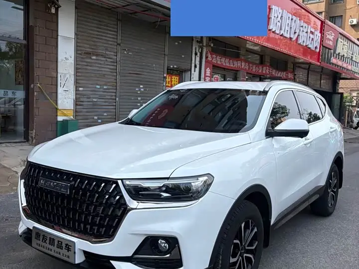 Haval H6 2023, арт. CN-3096209 — фото 1