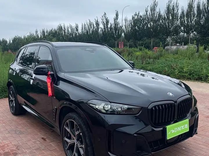 BMW X5 2025, арт. CN-3098708 — фото 1