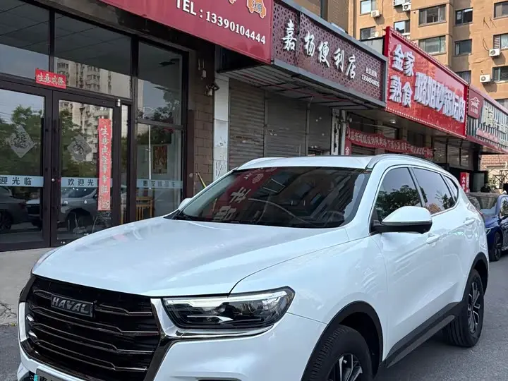 Haval H6 2021, арт. CN-3103508 — фото 1