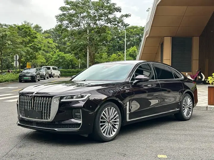 Hongqi H9 2020, арт. CN-3124327 — фото 1