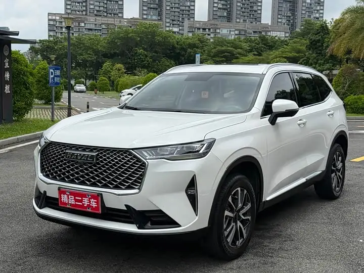Haval H6 2021, арт. CN-3135133 — фото 1