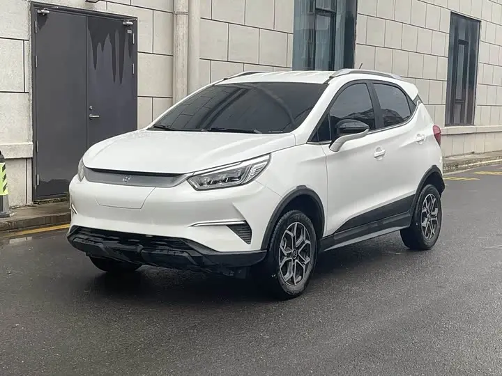 BYD Yuan Pro 2021, арт. CN-3144694 — фото 1