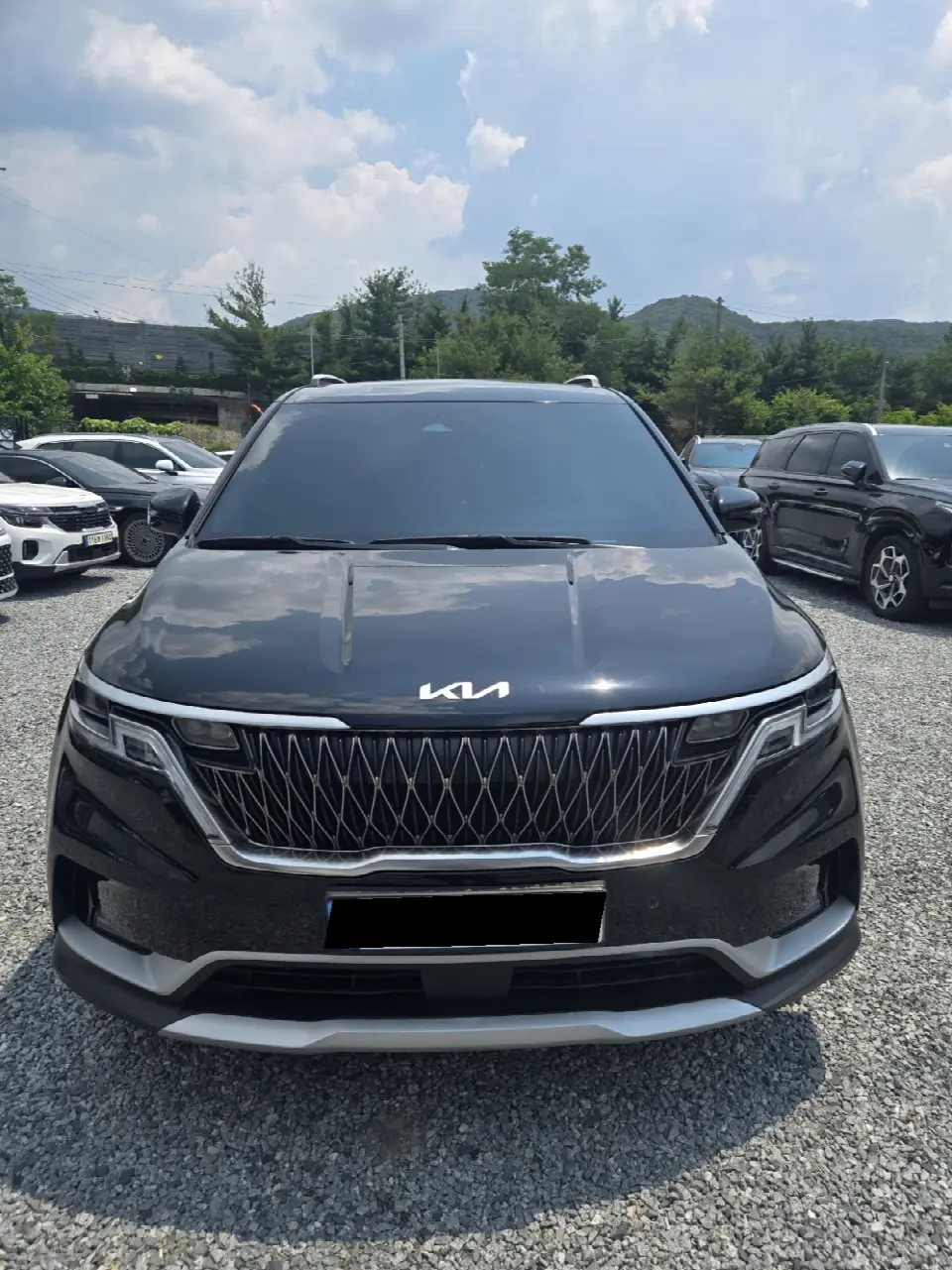 Kia Carnival 2020, арт. KR-3160621 — фото 1