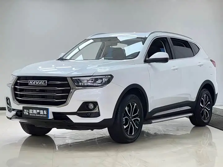 Haval H6 2021, арт. CN-3161702 — фото 1