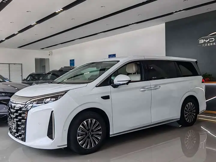 BYD Xia 2025, арт. CN-3193329 — фото 1