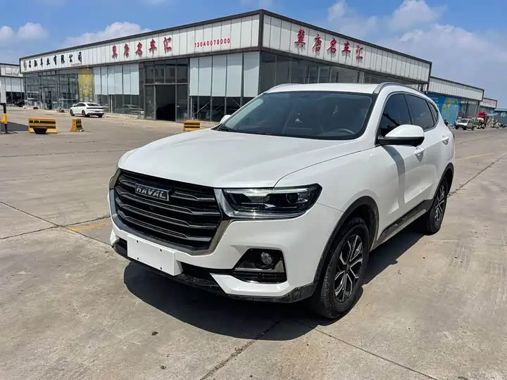 Haval H6 2023, арт. CN-3199964 — фото 1