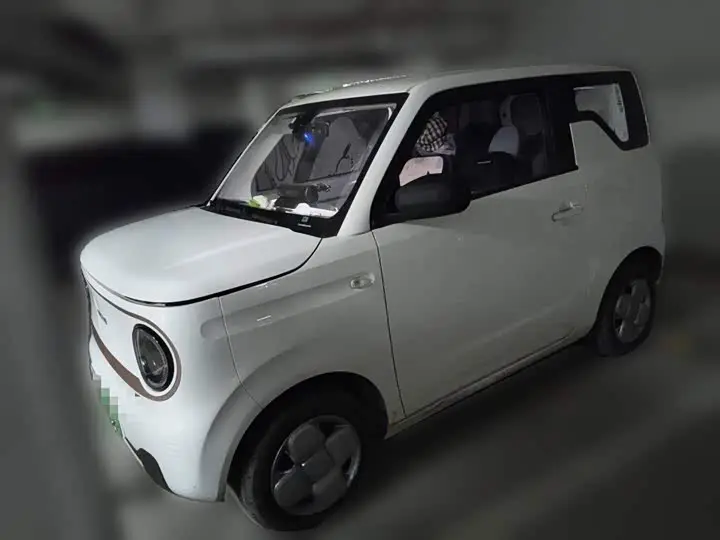 Geely Galaxy Panda Mini 2024, арт. CN-3202845 — фото 1
