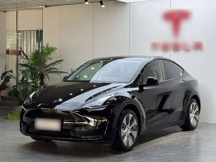 Tesla Model Y 2022, арт. CN-3202880 — фото 1