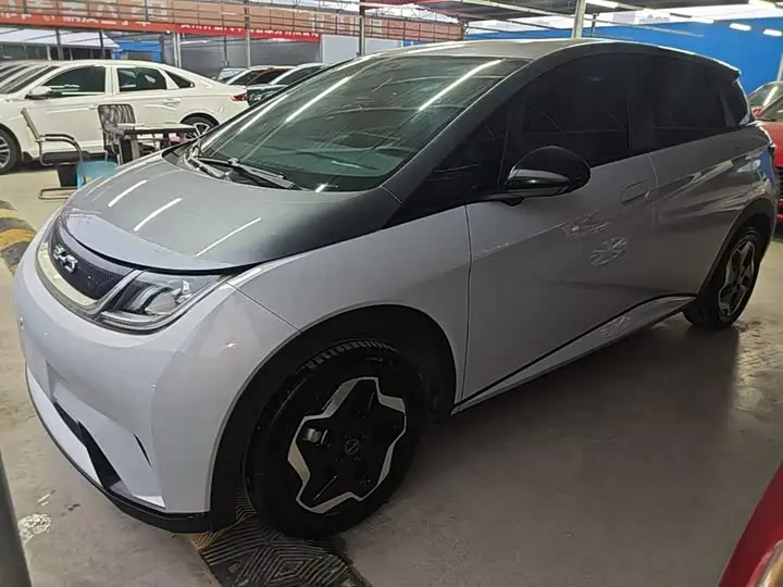 BYD Dolphin 2021, арт. CN-3207665 — фото 1