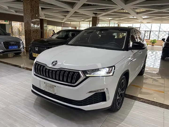Skoda Kamiq 2022, арт. CN-3209532 — фото 1