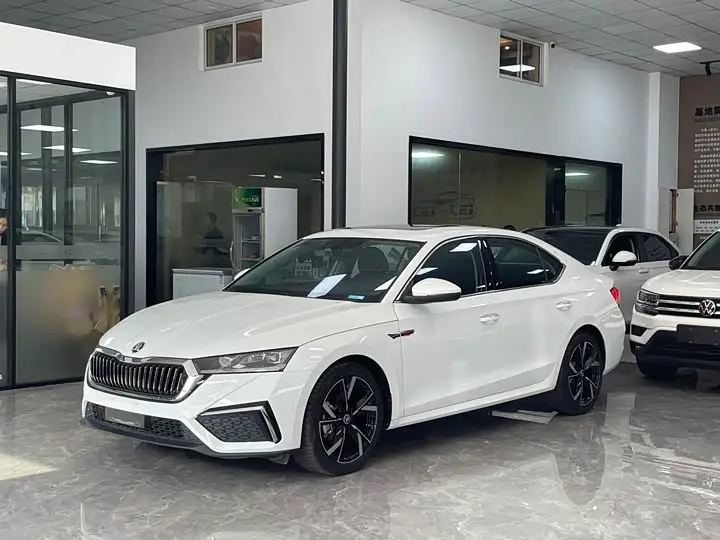 Skoda Octavia Pro 2023, арт. CN-3216006 — фото 1