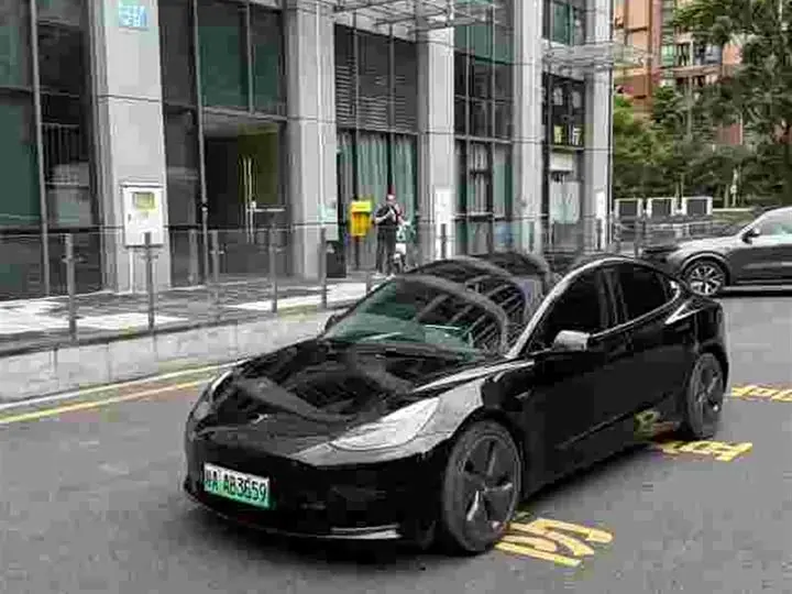 Tesla Model 3 2022, арт. CN-3216596 — фото 1
