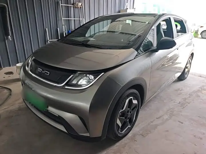 BYD Dolphin 2021, арт. CN-3229733 — фото 1