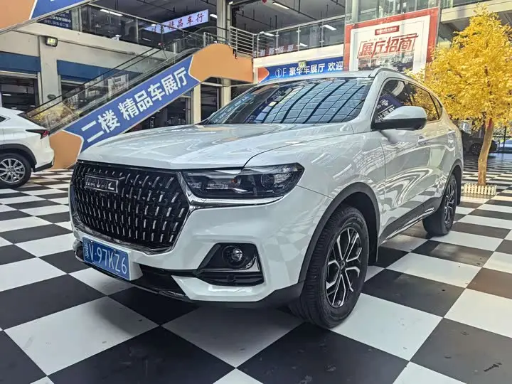 Haval H6 2023, арт. CN-3234997 — фото 1
