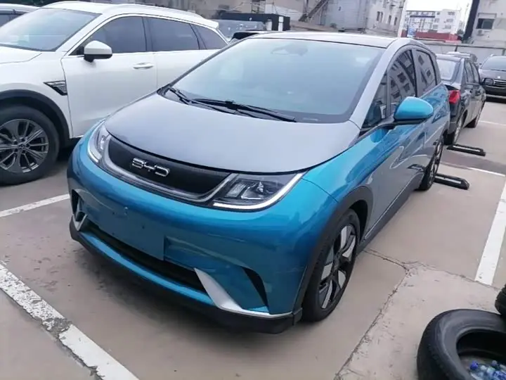 BYD Dolphin 2021, арт. CN-3235331 — фото 1