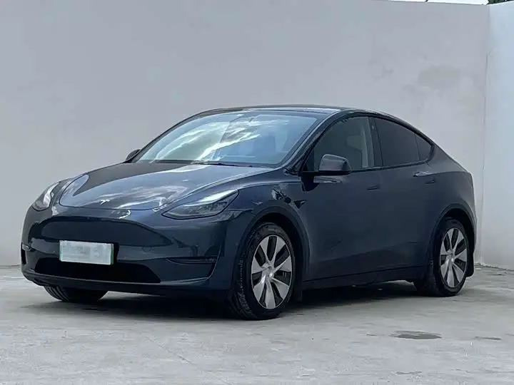 Tesla Model Y 2021, арт. CN-3235421 — фото 1