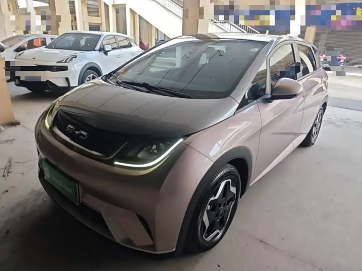 BYD Dolphin 2021, арт. CN-3235907 — фото 1